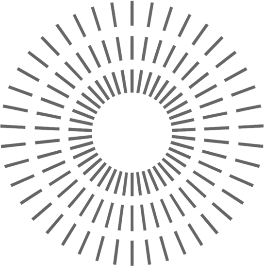 Social Capital Illustration